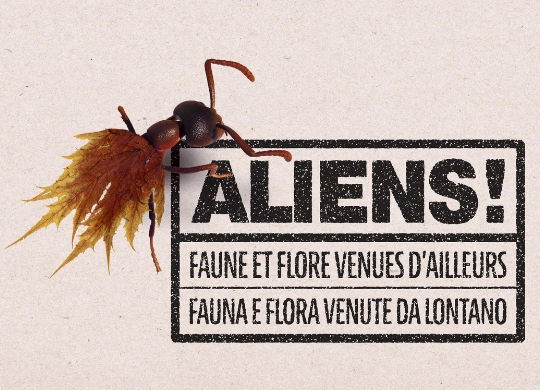 Affiche Expo Aliens - (c) ALIEM - Centre de ressources EEE