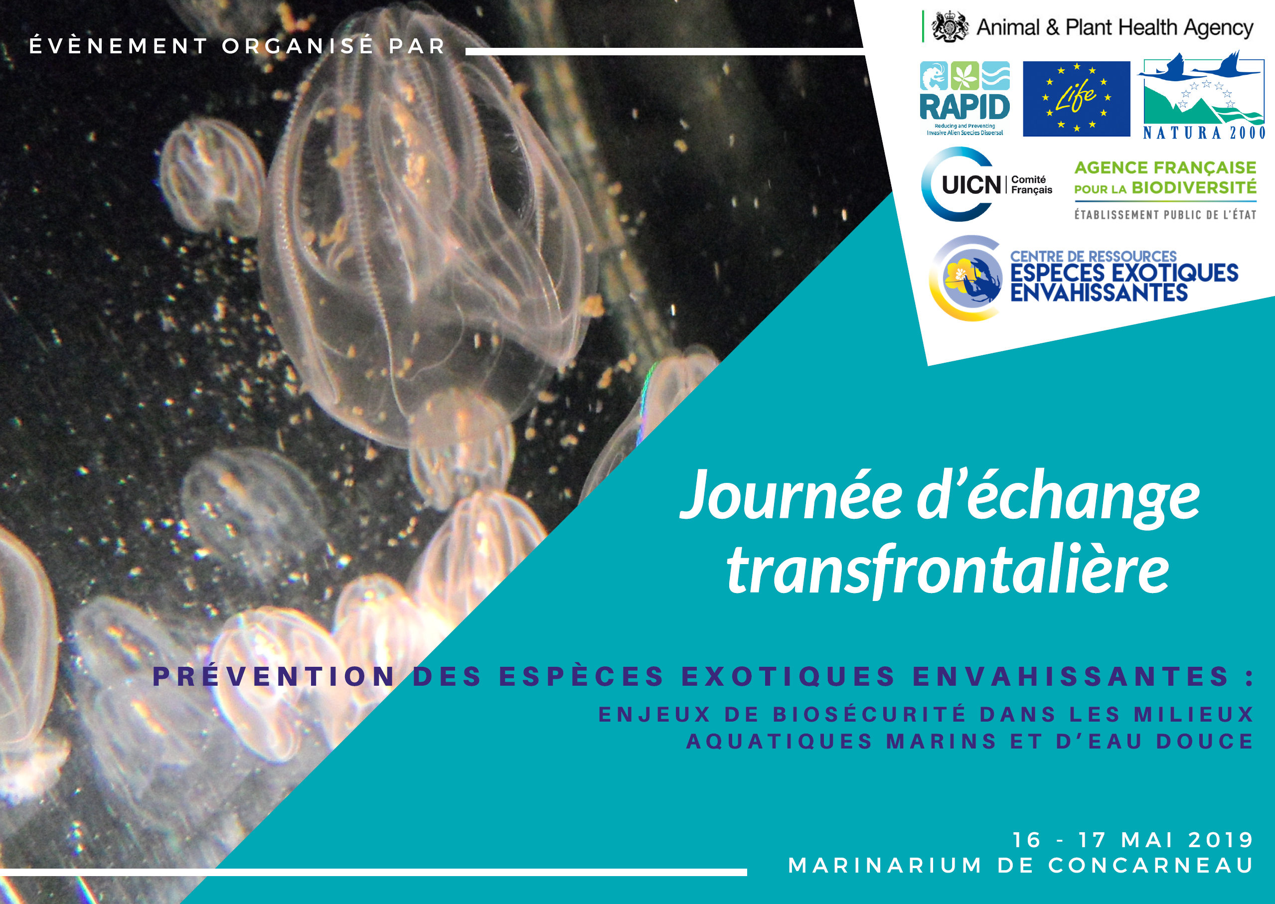 Affiche FR Journée biosécurité EEE Concarneau - Centre de ressources EEE