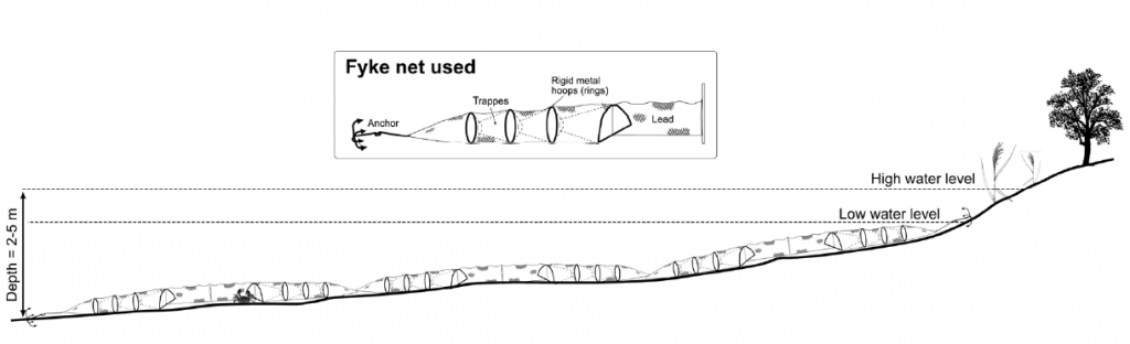Exemple de nasses utilisées pour la capture du Crabe chinois dans l’estuaire du Guadalquivir. D’après Garcia-de-Lomas et al., 2010.