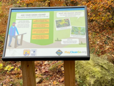 Capture d'écran 2026-02-04 121246