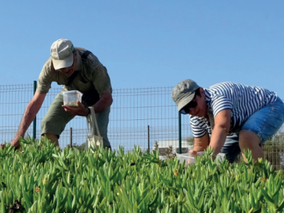 Capture d'écran 2026-03-24 163202