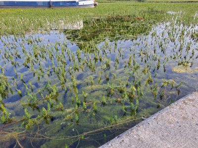 Port de Dijon - juin 2023